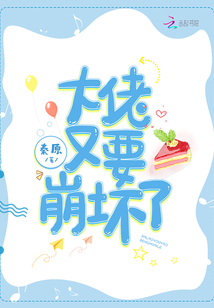 大佬又要崩坏啦 小说