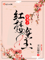 穿越红楼之黛玉的小说