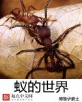 蚁的世界txt下载八零