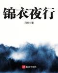 锦衣夜行全文下载