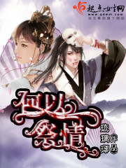 何以过情关 小说