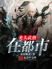 光头武僧在都市类似小说