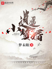 南风未眠小说