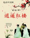 红楼逍遥游落花菩提免费阅读