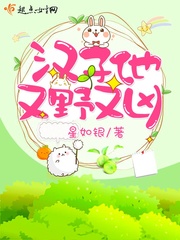 汉子又野又糙
