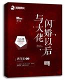 与大佬闪婚以后下载