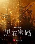 黑石密码起点中文网文