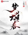 梦回风华大明小说免费阅读