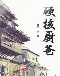 硬核厨爸无广告
