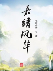 嘉靖年间