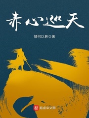 赤心巡天小说在线阅读无错版