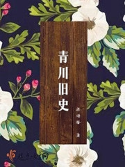 青川旧史主要讲了什么故事
