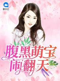 腹黑萌宝闹翻天小说在线阅读全文
