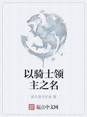 以骑士领主之名小说在线阅读全文