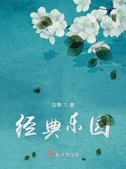经典娱乐圈小说