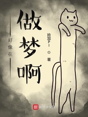 摆渡人书籍简介