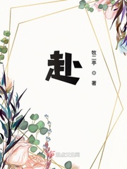 赴宴小说