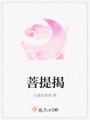 菩提一梦免费阅读