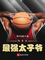 nba之太子 小说