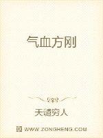 天谴者什么意思