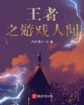 王者荣耀之人间游戏