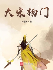 大宋杨门小说全文免费阅读