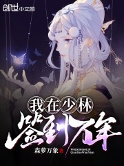 我在少林签到万年txt下载