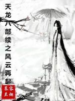 天龙八部续之风云再起小说全本下载