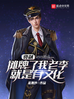 亮剑摊牌了我老李就是有文化 小说