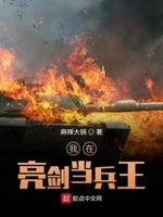 我在亮剑当兵王小说阅读免费全文