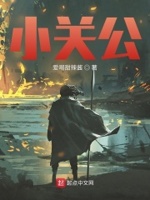 小关公小说免费阅读无弹窗