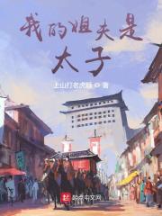 我的姐夫是太子小说全本下载