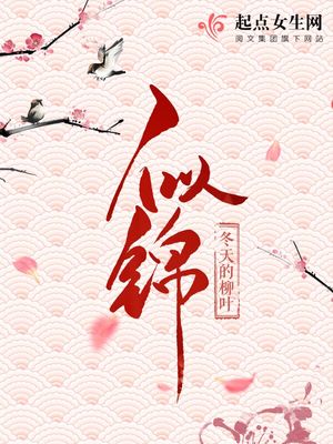 似锦小说免费阅读