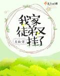 我家徒弟又挂了小说全集