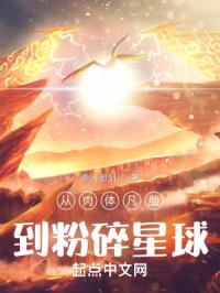 从肉体凡胎到粉碎星球乘风御剑小说348