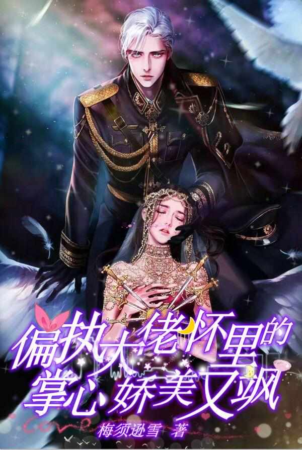 主人公夜之庭的小说