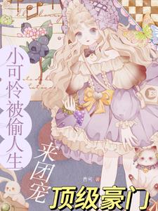 黎小鸭盛玉霄免费阅读无广告