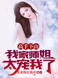 叶北辰周若妤最新更新时间