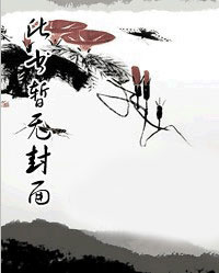 沈芜穆定北古代全文免费阅读