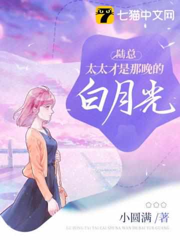 女主叶佳男主陆哗免费阅读无弹窗