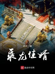 乘龙佳婿小说在线阅读无弹窗