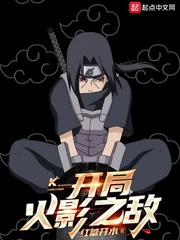 火影开局顶替宇智波止水笔趣阁