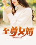 至尊女婿 黄晓鸭