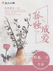 野狐一段相当于现实什么实力