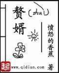 赘婿小说 全文免费阅读